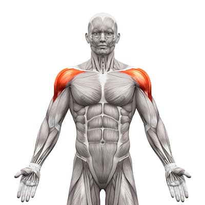 Cable Lateral Raise
